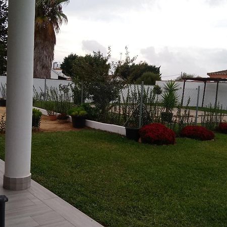 Chalet En Zahora/Canos De Meca Villa Rum bild